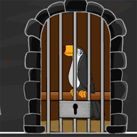 Free online html5 games - Rescue The Toucan game 
