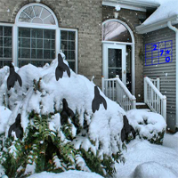 Free online html5 games - First Snow Escape game 