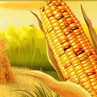 Free online html5 games - HOG Hidden Corn Grasshopper game 