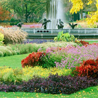 Free online html5 games - Escape From Beautiful Flower Garden game 