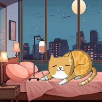 Free online html5 escape games - Cat Doctor Escape