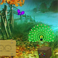 Free online html5 games - 8b Peafowl Escape game 