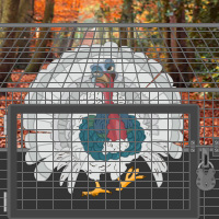 Free online html5 games - Games2rule Domestic Turkey Rescue game 