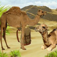 Free online html5 games - 5nGames Escape Games New 1 Everyday 23 game 