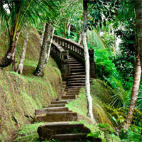 Free online html5 games - MouseCity Jungle Island Escape game 
