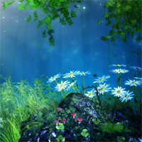 Free online html5 games - G2R Magical Forest Fantasy Escape game 