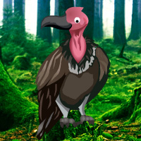Free online html5 games - Vulture Forest Escape game 