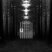 Free online html5 games - Zooo Swarthy Forest Escape ZoooGames game 