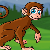 G2J Rescue the Cute Monkey from Cage