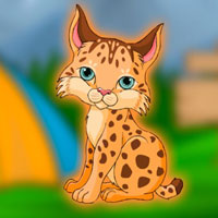 Free online html5 games - G2J Save the Lynx Rufus game 