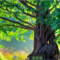 Free online html5 games - Sunny Fairy Forest Escape game 