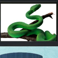 Free online html5 games -  8b Erudition Girl Escape  game 