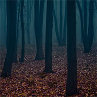 Free online html5 games - Escape From Alarming Forest game 