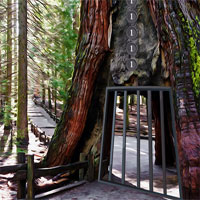 Free online html5 games - Yosemite National Park Escape game 