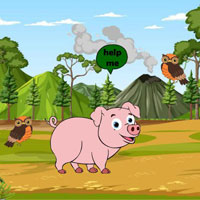 Free online html5 escape games - G2R Pig Reach The Farm
