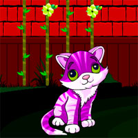 Free online html5 games - Avm Red Wall Cat Escape  game 