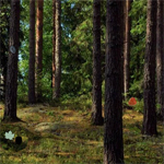 Free online html5 games - Swampy Forest Escape 2 game 