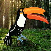 Free online html5 games - Escape From Pest Forest HTML5 game 