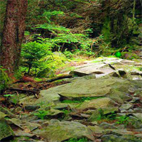 Free online html5 games - Escape From Great Smoky Mountain National Park game 