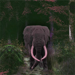 Free online html5 games - Escape From The Danger Wild game 