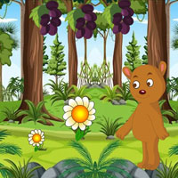 Free online html5 escape games - Starving Bear Seeks Honey