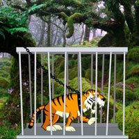 Free online html5 escape games - Rescue The Sad Tiger