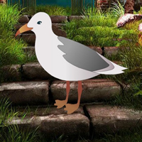 Free online html5 games - Dazzle Forest Escape HTML5 game 