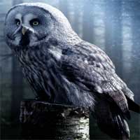 Free online html5 games - Halloween Owl Puzzle Worldescapegames game - WowEscape 