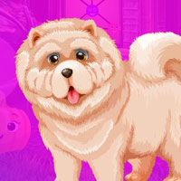 Free online html5 games - G4K Curious Dog Escape game 