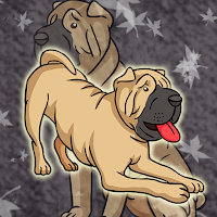Free online html5 games - G2J Shar Pei Dog Escape game 