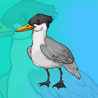 Free online html5 games - G2J Crested Tern Escape game 