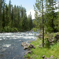 Free online html5 games - River Hidden Numbers GazzyBoy game 