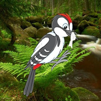Free online html5 games - Help The Troubled Woodpecker HTML5 game 