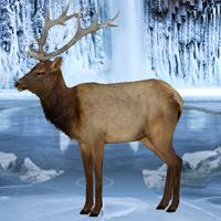Free online html5 games - Games2rule Frozen Land Elk Rescue game 