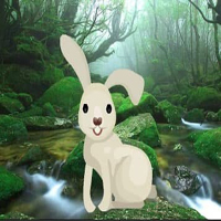 Free online html5 games - Save The Little Rabbit HTML5 game 
