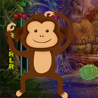 Free online html5 games - Games4king Little Monkey Escape game 