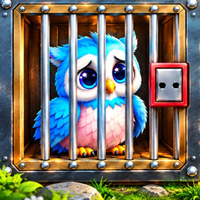 Free online html5 escape games - Rescue the Fluffy Owl