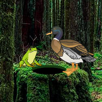 Free online html5 games - G2R Temperate Rainforest Escape game 