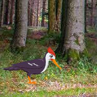Free online html5 games - Escape From Foliage Forest HTML5 game 