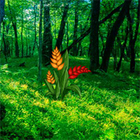 Free online html5 games - BEG Find the Golden Flower game - WowEscape 