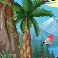 Free online html5 escape games - Koala Bear Escape