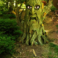 Free online html5 games - AvmGames Fantasy Mushroom Forest Escape game 