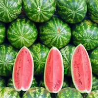 Free online html5 games - Watermelon Hidden Numbers game 