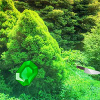 Free online html5 games - Spruce Forest Escape game - WowEscape 