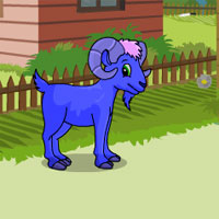 Free online html5 games - Flying Carpet Escape ZooZooGames game 