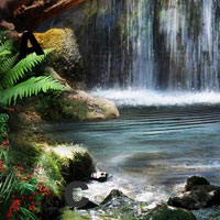 Free online html5 games - Magic Forest Adventure game 