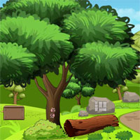 Free online html5 games - Top10 Rescue The Wild Boar game 