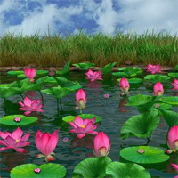 Free online html5 games - Hidden Lotus game 