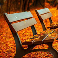 Free online html5 escape games - Autumn Backyard Escape HTML5