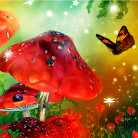 Free online html5 games - Butterfly Fantasy Forest Escape game 